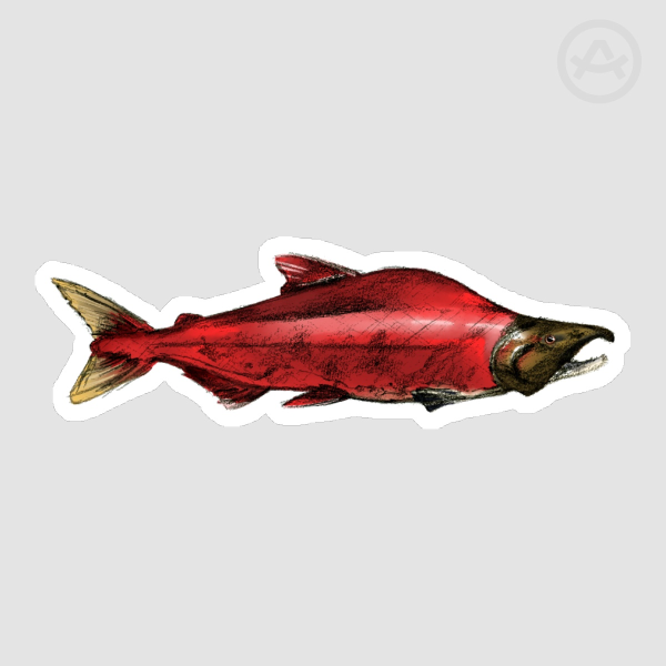 Salmon Die Cut Sticker