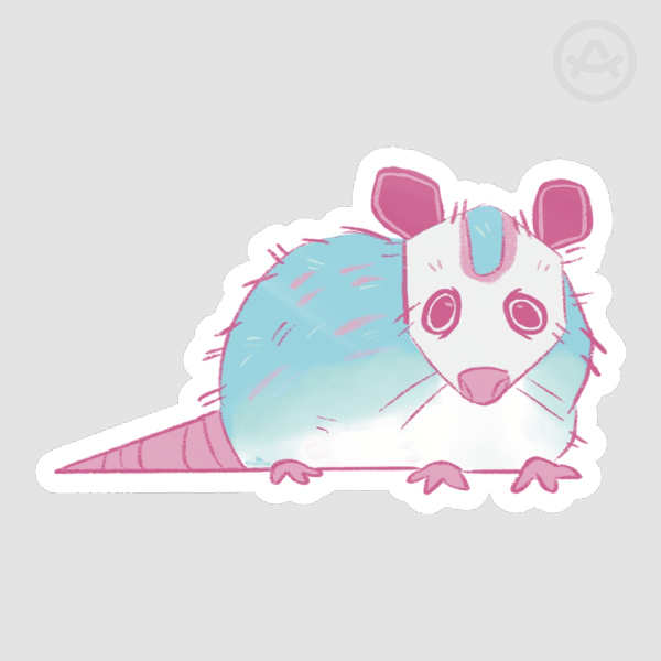 Transgender Possum