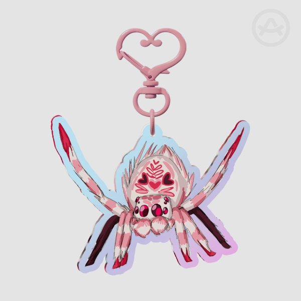 A very gay peacock spider