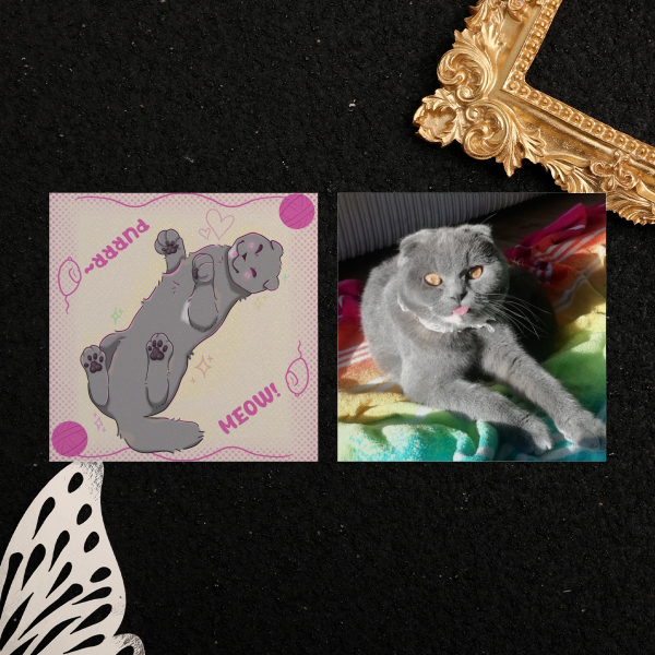 Scottishfold X BSH Nabi Pearl Paper Photocards
