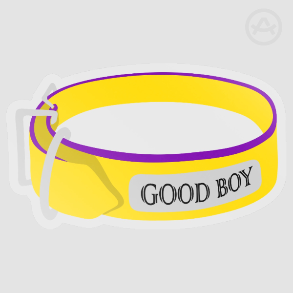 "GOOD BOY" Pride Collar (Intersex)