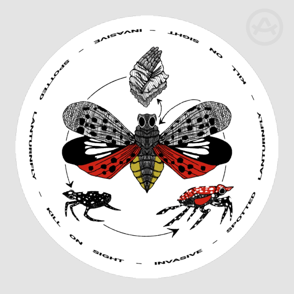 Lanternfly Awareness Colored Edge Die Cut Stickers