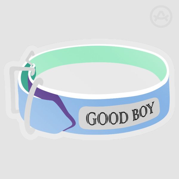 "GOOD BOY" Pride Collar (Gay Men/Mascs)