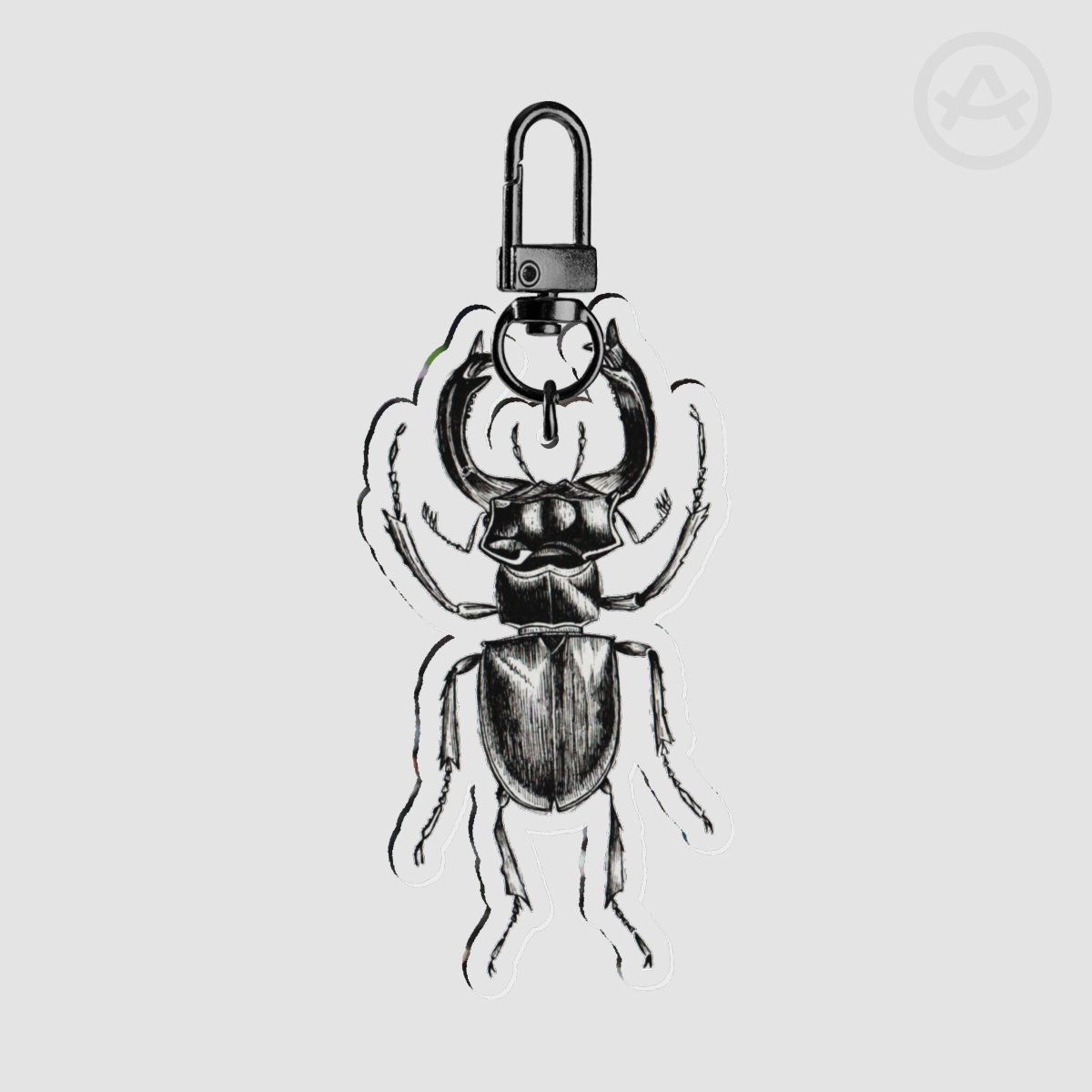 Bug Clear Acrylic Keychains