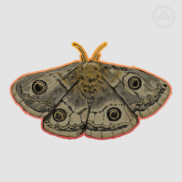 Moth sticker