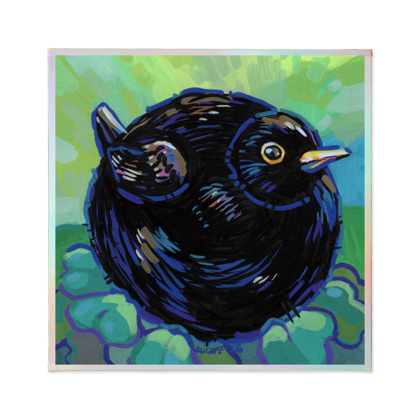 BLACKBIRD Art Board with Rainbow-Edge - 4.7" x4.7" (120x120mm)