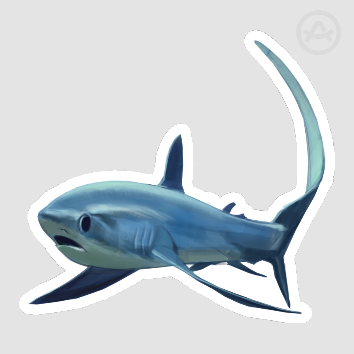 Confused Shark - Sticker