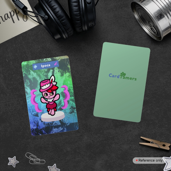 Ipoca Cracked Ice Holographic Photocard