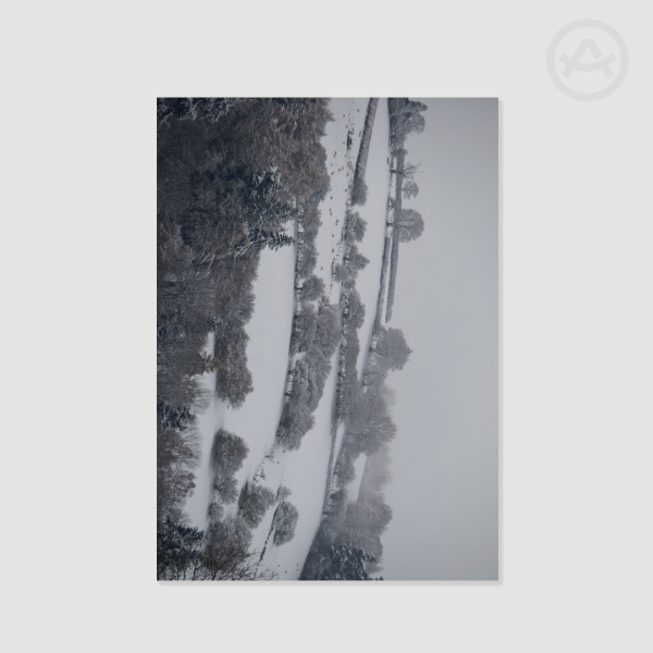 Snowy Fields Poster