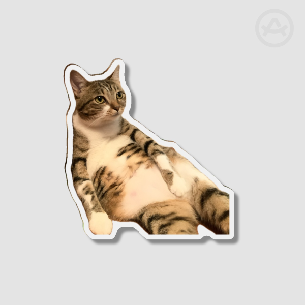 Kitty Baby - Fridge Magnets - 2.36""(60mm)