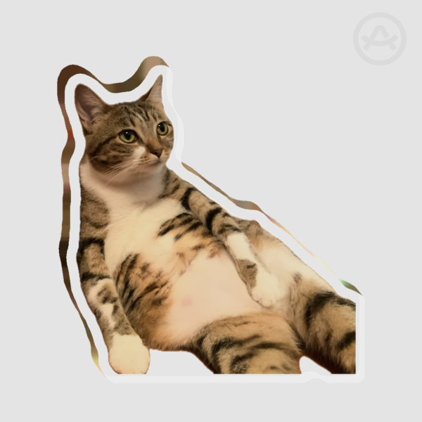 Kitty Baby - Thick Acrylic Stand No Base - 0.27"(70mm), 0.39"(10mm)