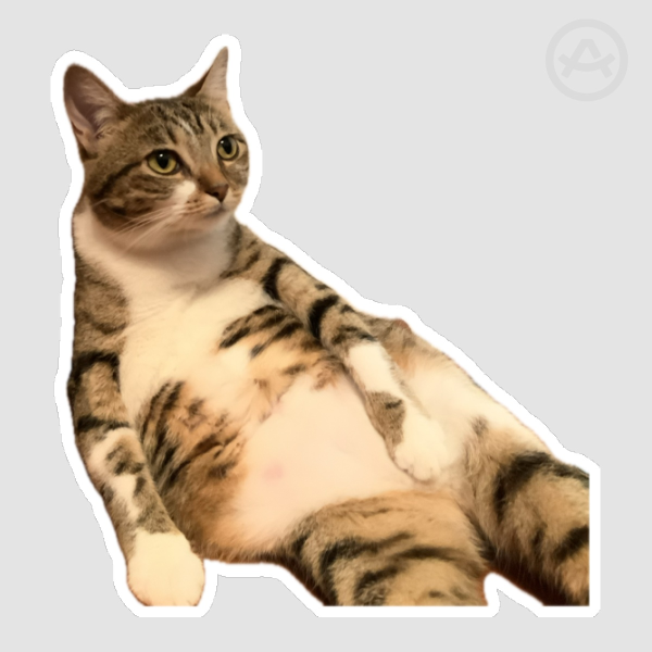 Kitty Baby - Soft Feel Stickers