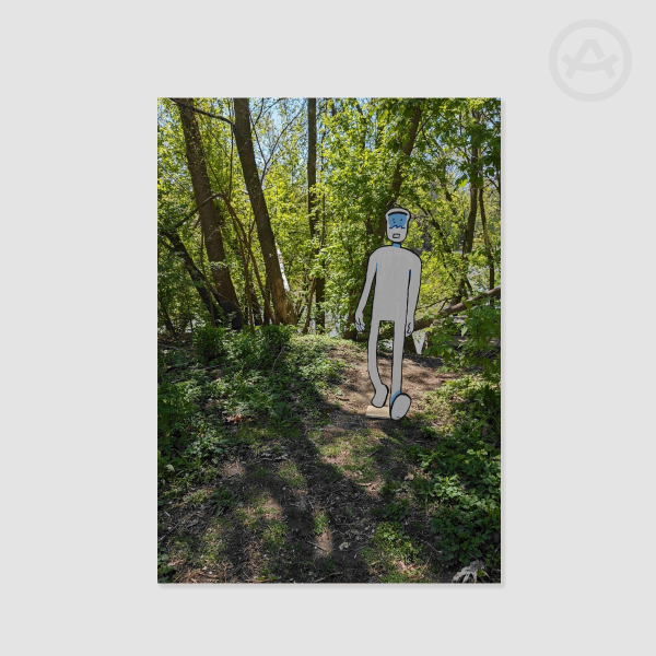 A Guy Goes to the Forest