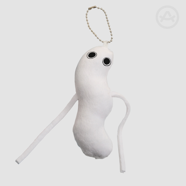 Brushbuddy Witch Hat Atelier