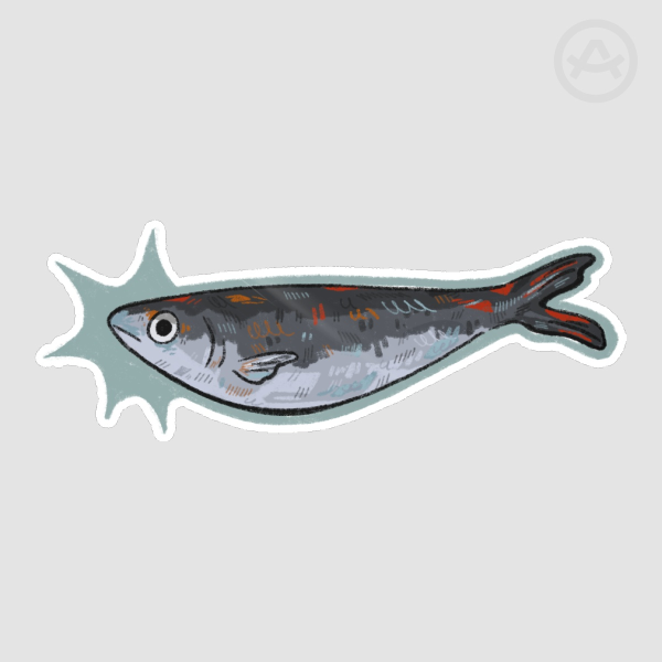 Fish Sticker