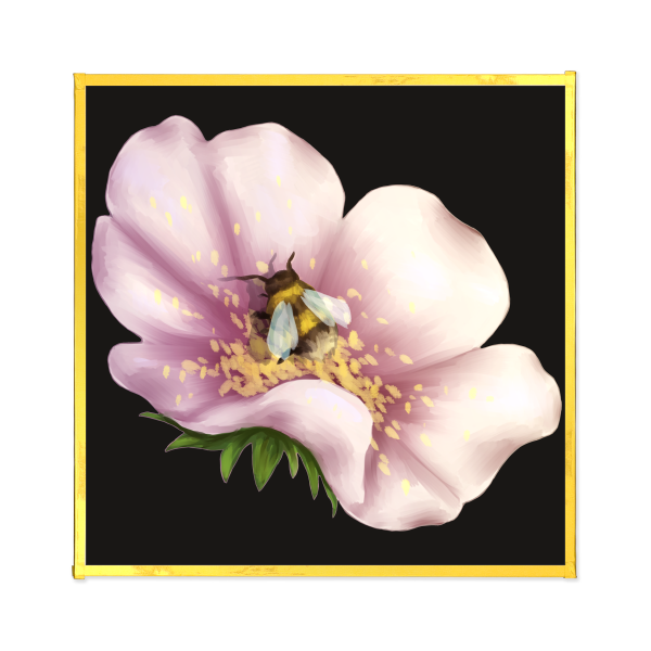 Wild Rose Art Board with Gold-edge