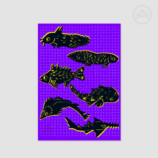 QLD fish poster