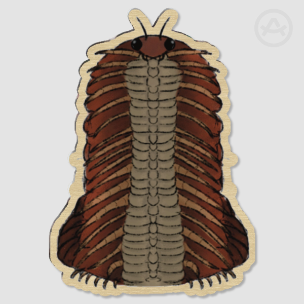 Arthropleura Wood Pins