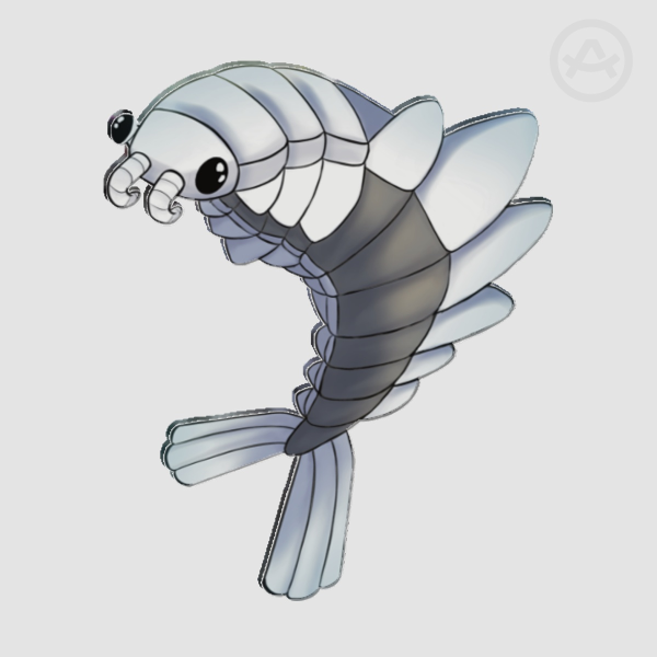 Anomalocaris Acrylic Pin | White
