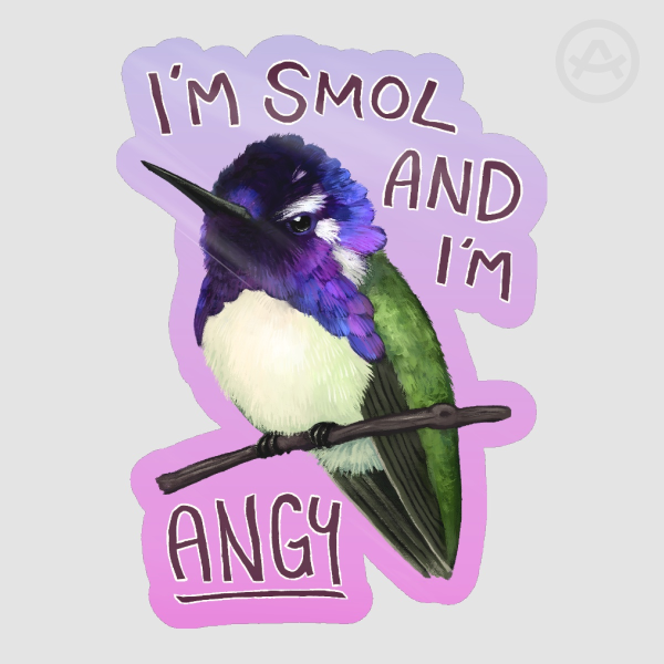 Costa's Hummingbird Sticker (older design)