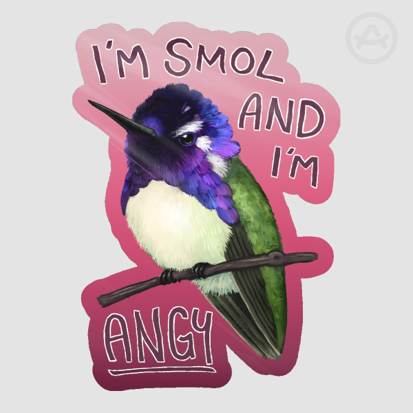 Extra Angy Costa's Hummingbird Sticker (older design)