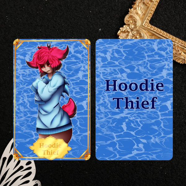 Hoodie Thief Photocard