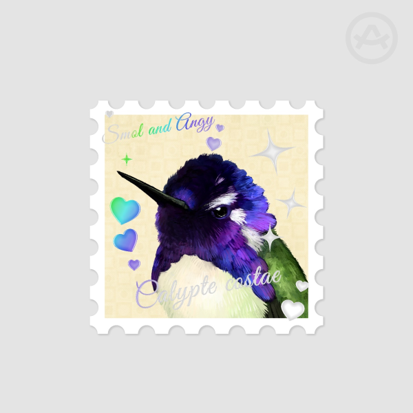Costa's Hummingbird - Stamp Sticker
