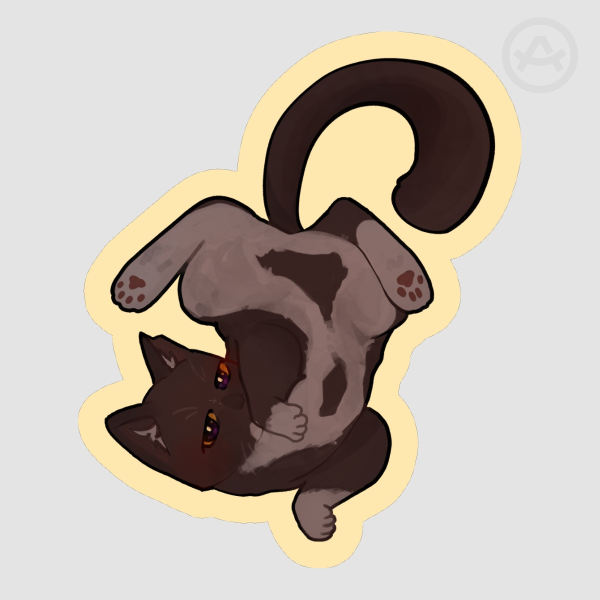 Roxy the Chonky Cat