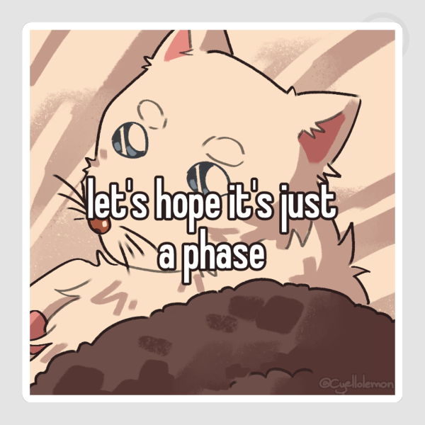 Homophobic Haro sticker