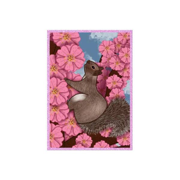 Squirrel