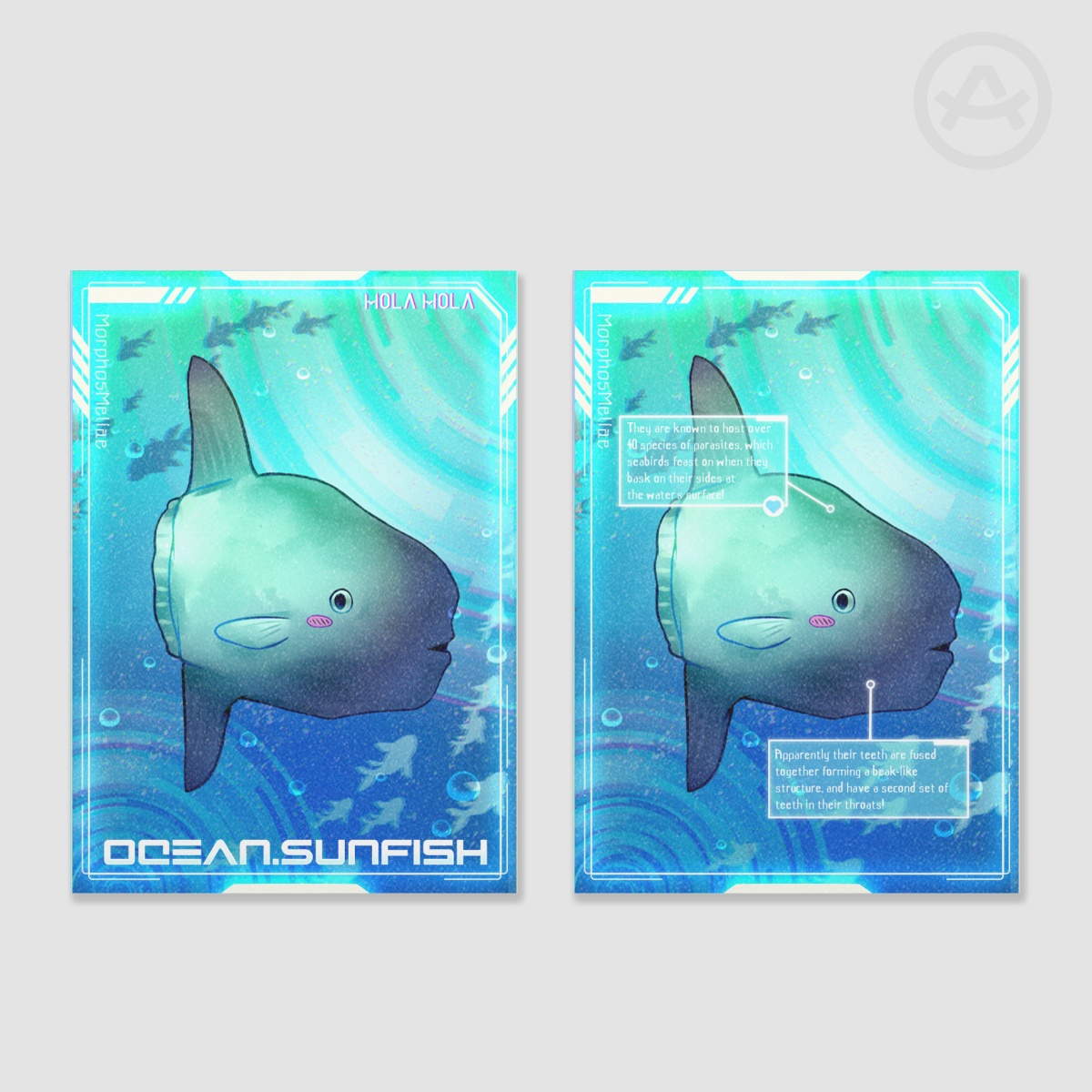 Mola Mola Holographic Photocards - Sea Creature Lovers Unite! Collab