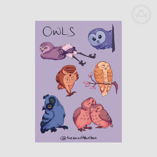 Owls sticker sheet (10x15 cm)