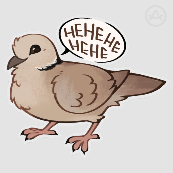Collared dove laugh | Clear PET sticker