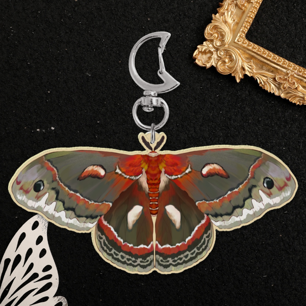 Cecropia Moth (Hyalophora cecropia) - wooden keychain