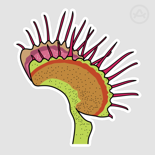 Venus Flytrap Sticker
