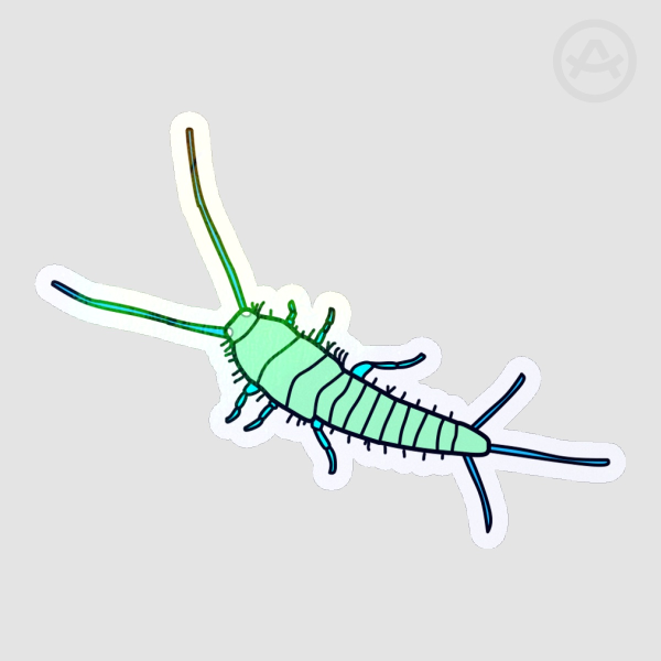 Mintfish Sticker
