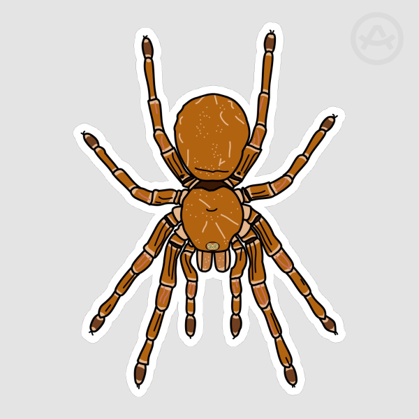 Goliath Birdeater Sticker