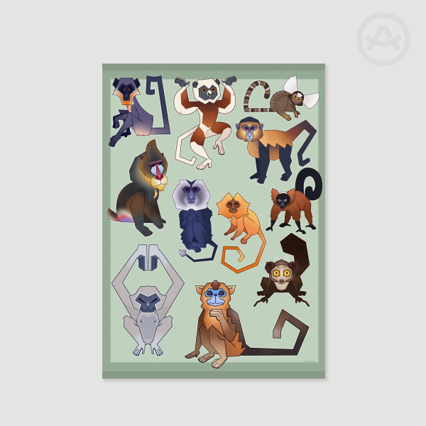 Monkeys around the world - V1