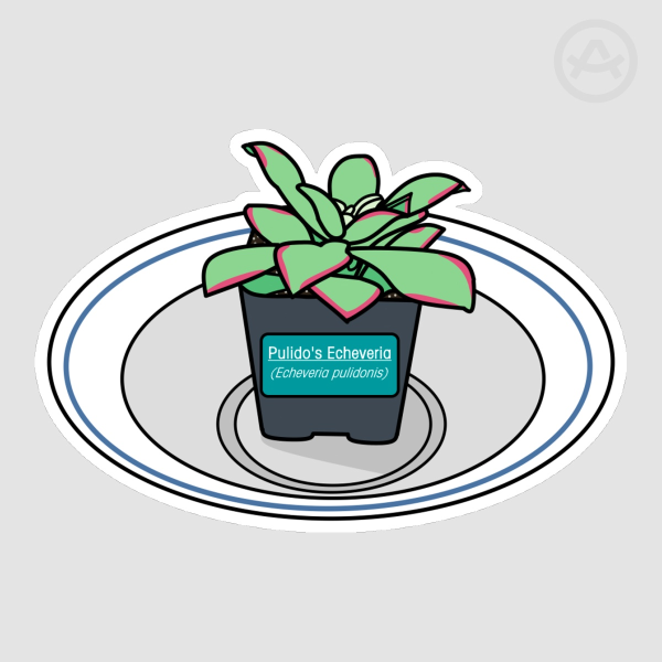 Pulley The Echeveria - Sticker
