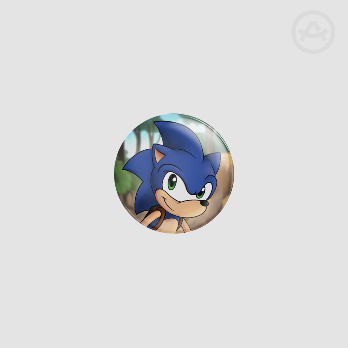 Freedom Fighter Sonic