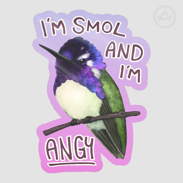 Costa's Hummingbird - SMOL AND ANGY Sticker