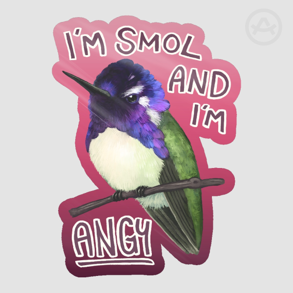 Costa's Hummingbird - EXTRA ANGY Sticker