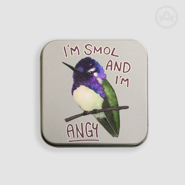 Costa's Hummingbird - Storage Tin