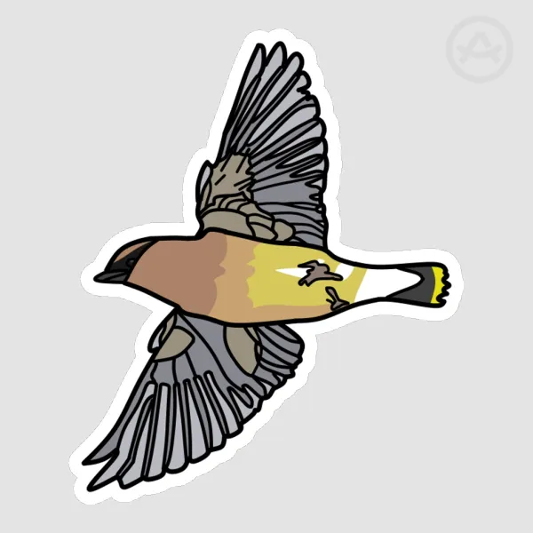 Cedar Waxwing Sticker