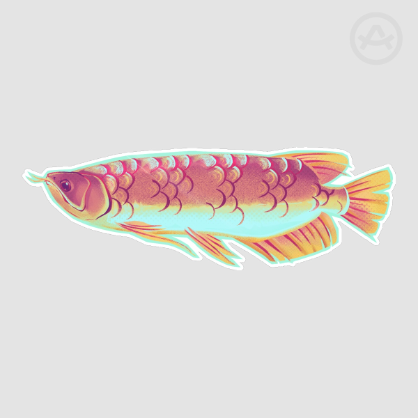 Arrowana sticker