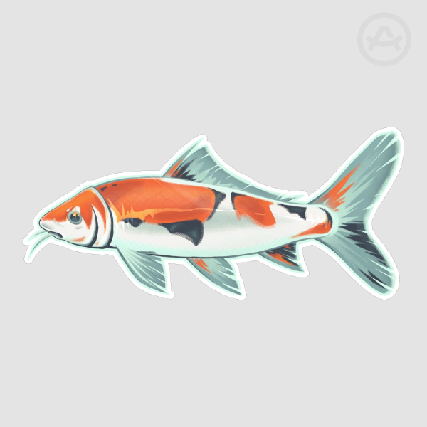Koi sticker