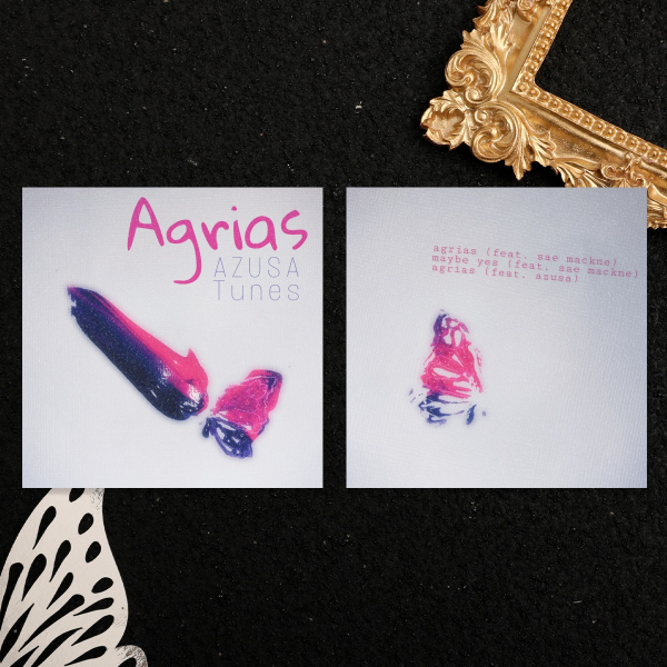 Agrias Holographic Photocards