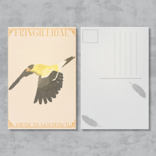 American Goldfinch Postcard