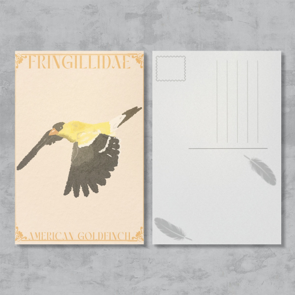 American Goldfinch Postcard