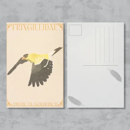 American Goldfinch Postcard